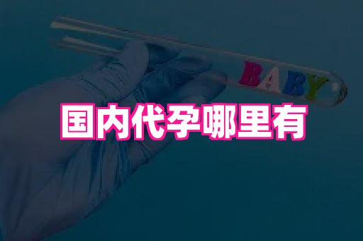 武汉助孕网 2
