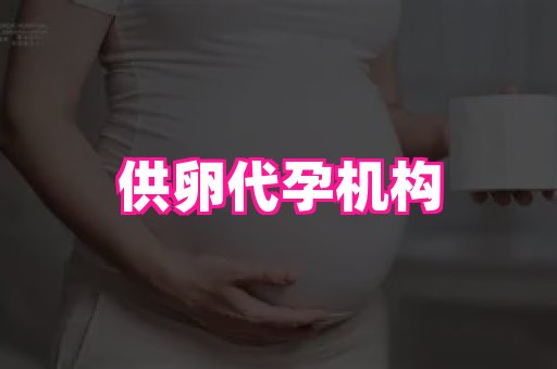武汉助孕网 3