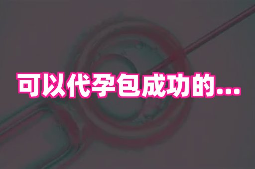 武汉助孕网 4
